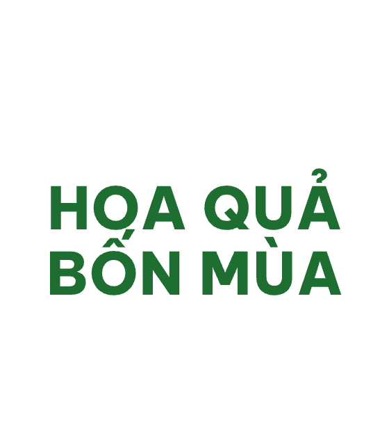 Hoa Quả Bốn Mùa